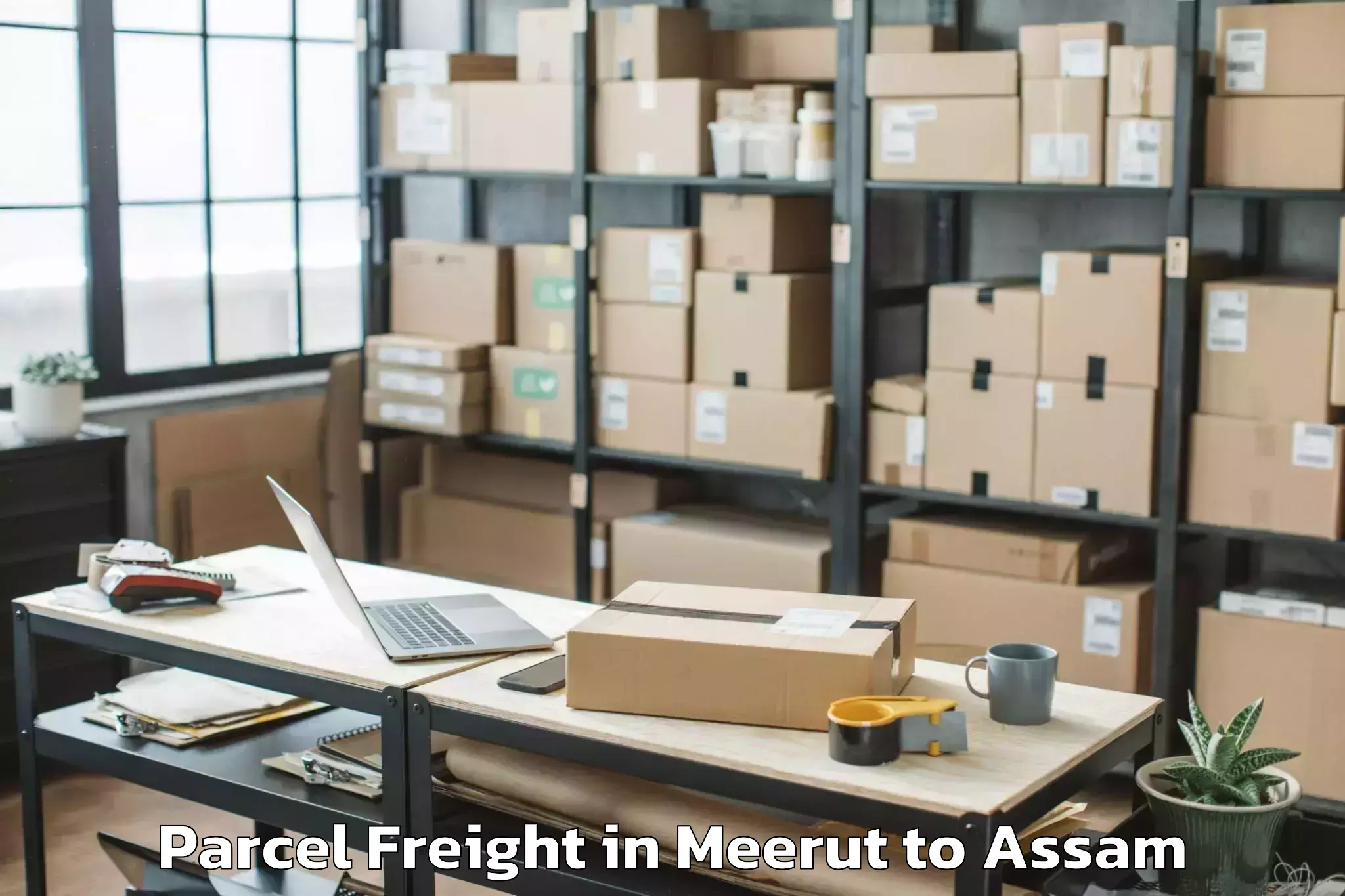 Book Meerut to Rangia Parcel Freight Online